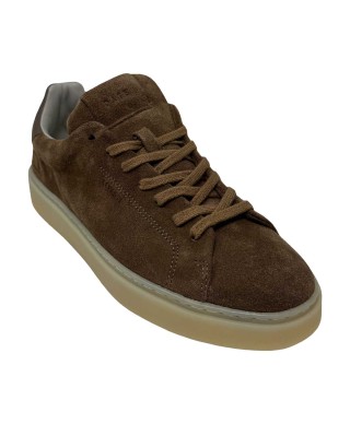 Date M431LVSDTA col. taupe